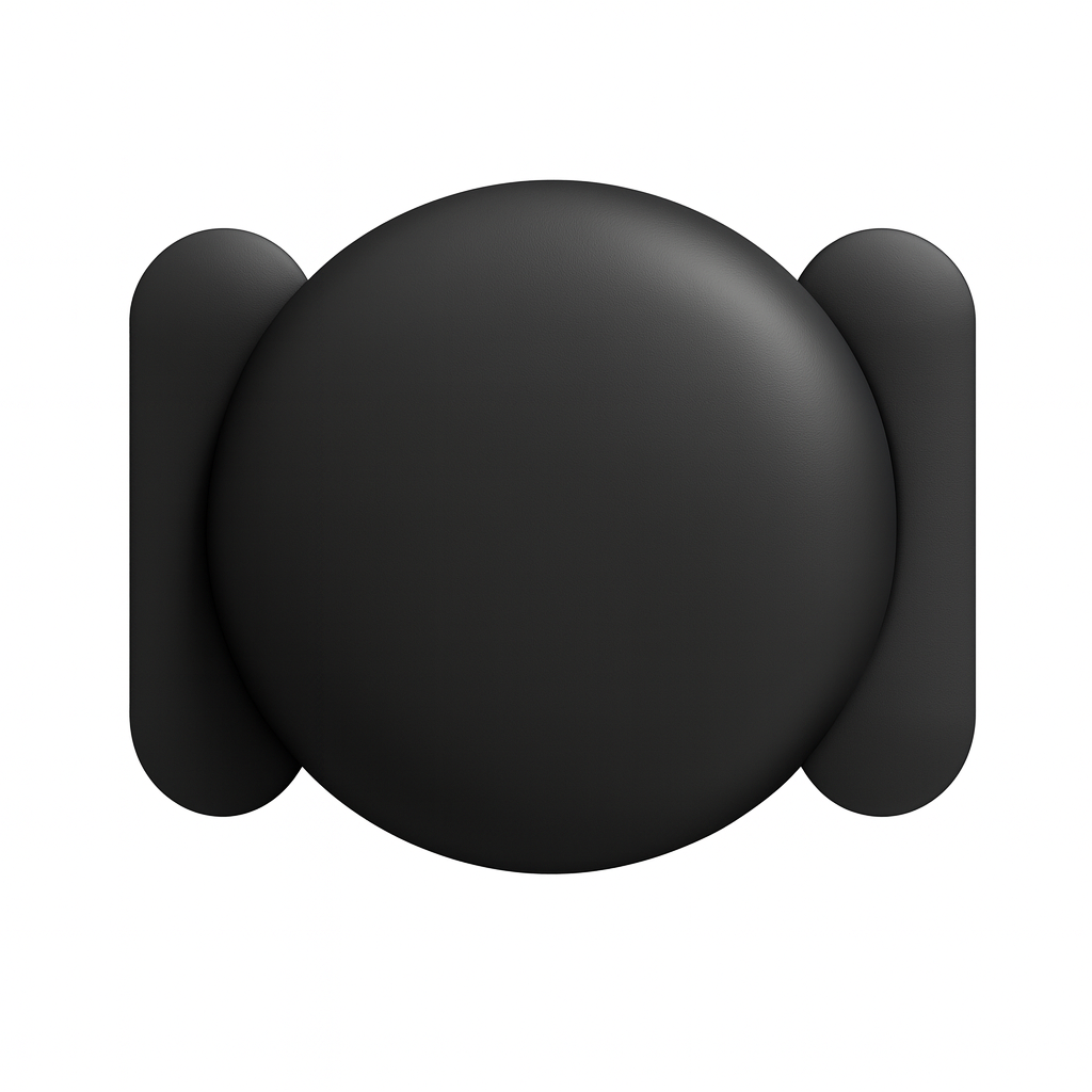 Magnetic case