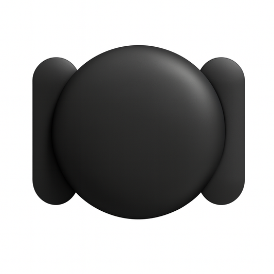 Magnetic case